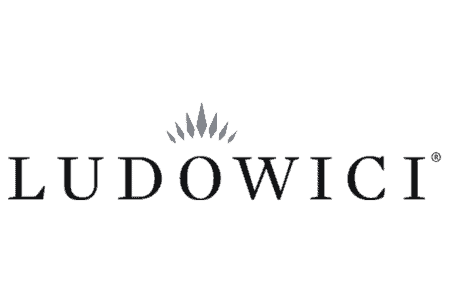 The logo for ludovici on a black background.
